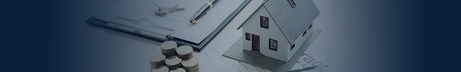 Asset & Property Division